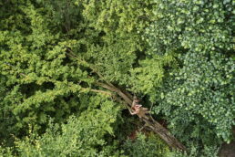 Fotograf-wesele-w-lesie-pomorskie-003 109 Fotograf-wesele-w-lesie-pomorskie-003 108