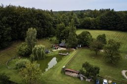 Bezalkoholowe wesele w lesie | Pomorskie | Chatka Gołębiewo 167 wesele w lesie pomorskie