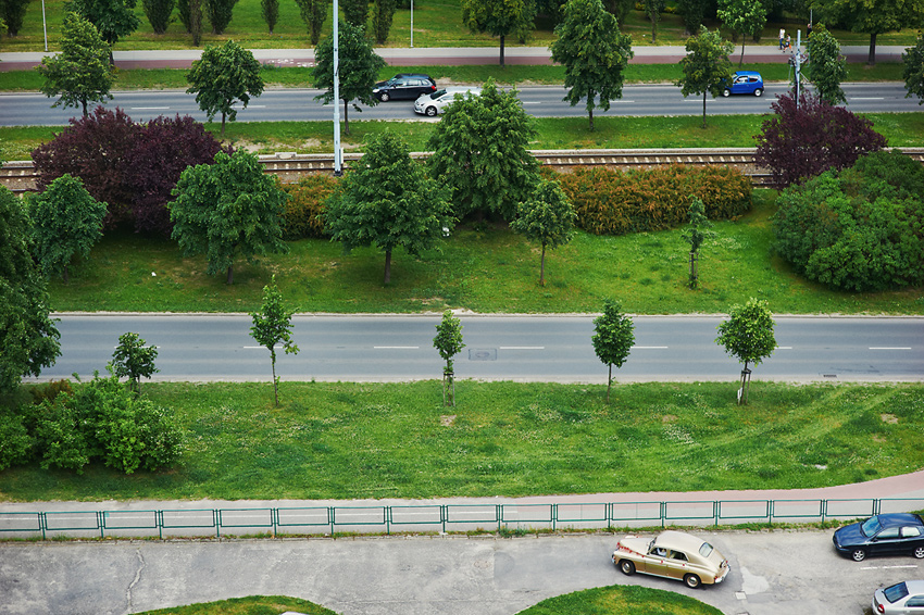 fotografia-z-gory-miejskie-linie-symetria 51 Fotografia z góry przedstawiająca rytmiczny układ dróg i drzew